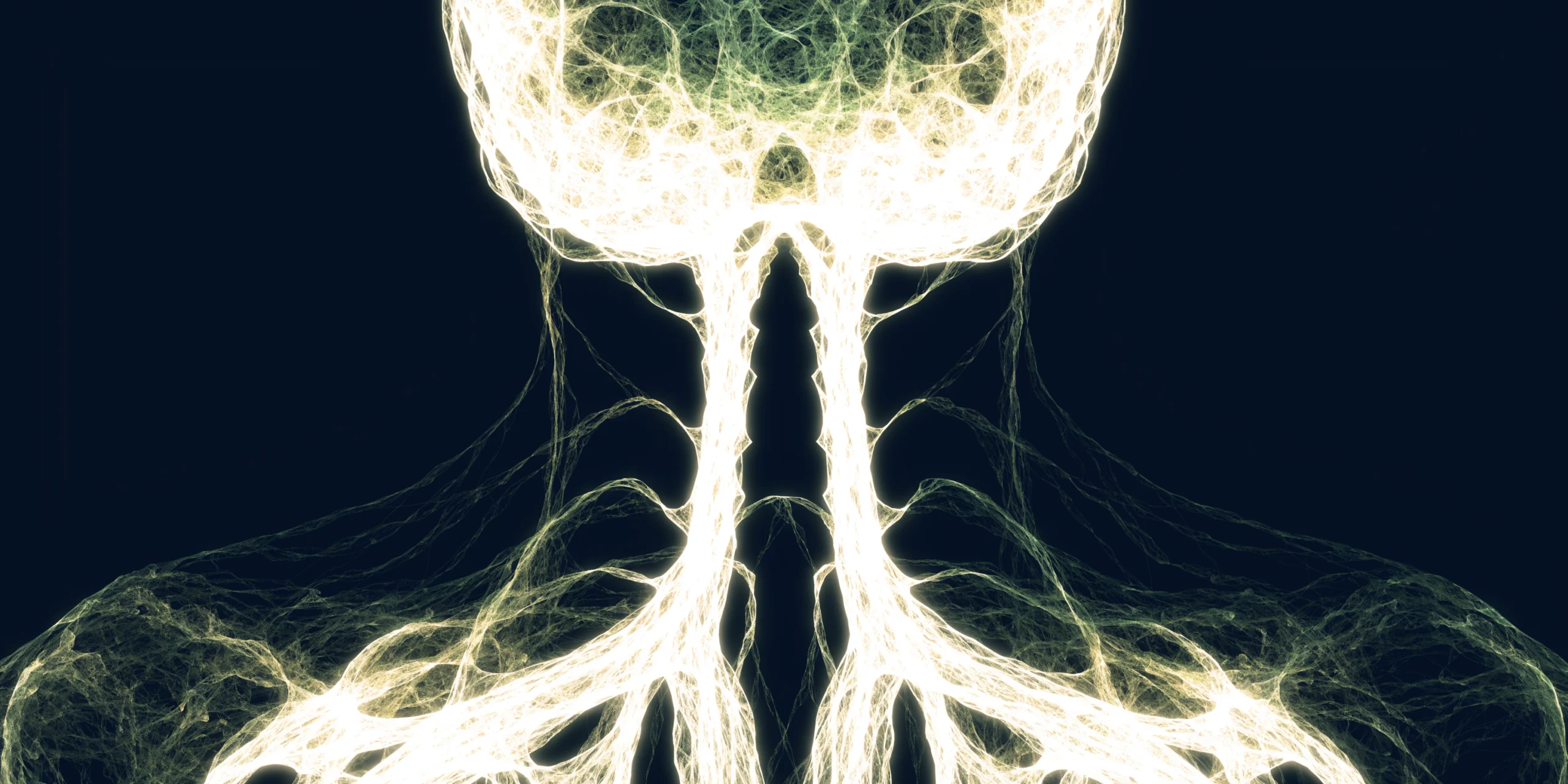 The Brain-Body Connection: How Your Spine Affects Your Entire Nervous System